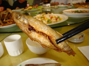 威海美食地图 山海之间的舌尖盛宴